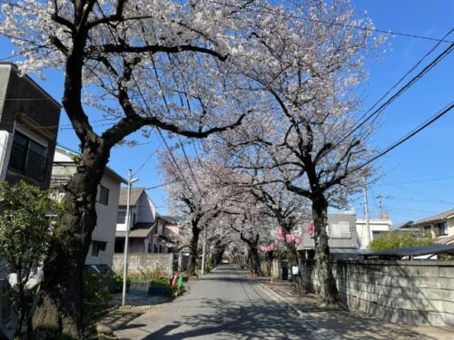里見公園入り口