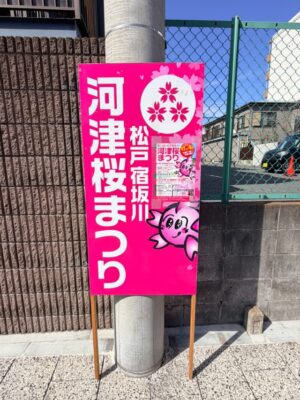 河津桜まつり看板