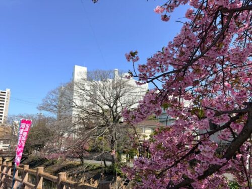 旧伊勢丹ビルを臨む