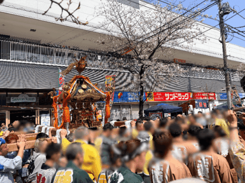 常盤平桜まつり・神輿