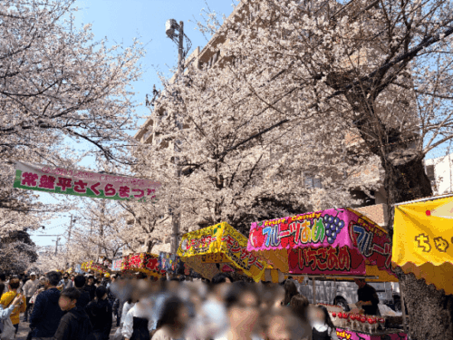 常盤平桜まつり