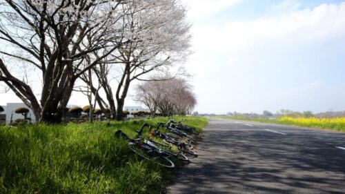 埼玉県庄和浄水場