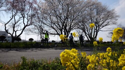 埼玉県庄和浄水場