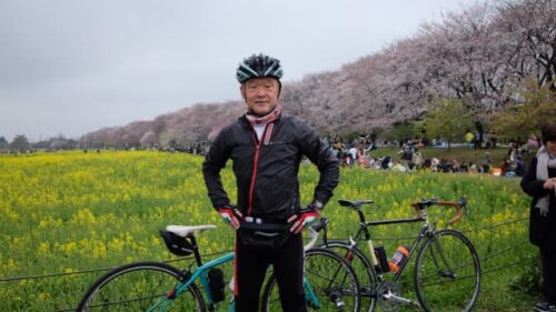 権現堂桜堤