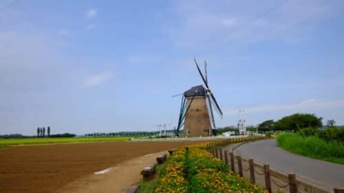 佐倉みんなの広場