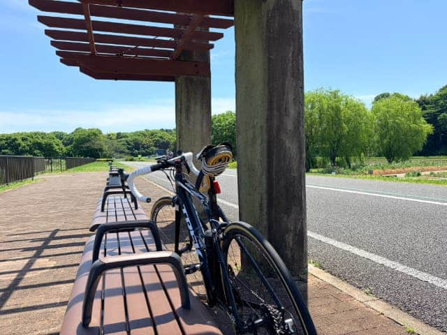 手賀沼サイクリングロード