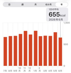 6月消費エネルギー